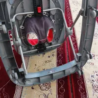 روروئک سالم