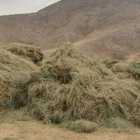 فروش علوفه مهاباد