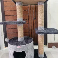 خانه گربه کاملا نو