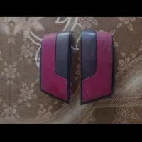 عروس هلندی کوتوله مرغ عشق|پرنده|مشهد, سپاد|دیوار