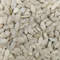 پخش عمده تخمه آفتابگردان و کدو|خوردنی و آشامیدنی|نظرآباد, نظرآباد|دیوار