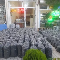 پخش ذغال و هیزم