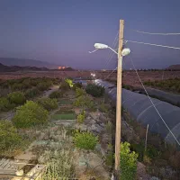 کارگر باغ ( باغبان ) ۲۴ ساعته