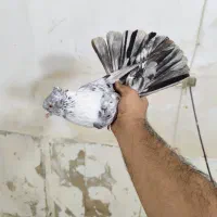 طوقی سفید نواری کوهی