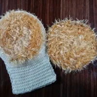 لیف و اسکاج اقتصادی