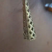 یک عدد گوشواره یا گواره گم شده