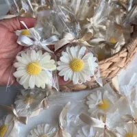 سفارش انواع گیف های شمع با نازلترین قیمت|صنایع دستی و سایر لوازم تزئینی|زاهدان, |دیوار