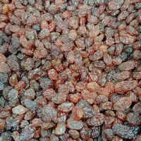 کشمش پلوئی احسان