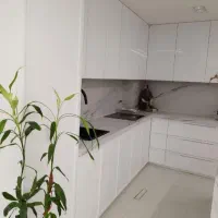 جویای  کار ام دی اف