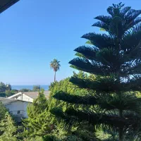 استخدام نظافتچی