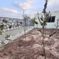 باغچه ۱۹۸متری نهال کاری سند دار