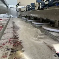 قالیشویی یاقوت قیمت مناسب شستشو تضمینی