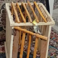 قفس پرنده  سفارش پذیرفته  میشود