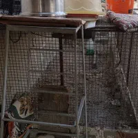 قفس حیوانات