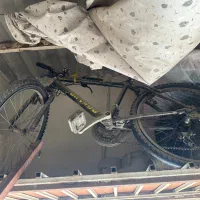 دوچرخه۲۴ تورنتدو