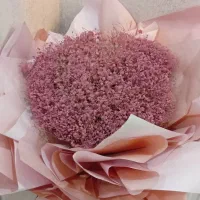 گل خشک ژیپوسفیلا صورتی