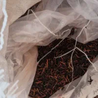 فروش انواع برنج و چای شمال