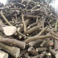 چوب|خدمات باغبانی و درختکاری|عنبرآباد, |دیوار