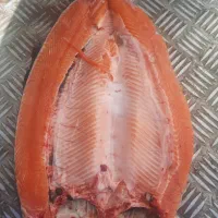 کارگر‌پرورش‌ماهی