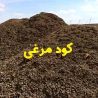 کود مرغ خشک