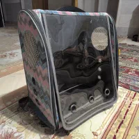 باکس حمل پرنده