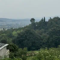 ۱۰۰۰ متر زمین باغ میوه در بابلکنار|فروش دفتر صنعتی، کشاورزی، تجاری|مرزیکلا, |دیوار