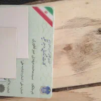 سید محمد مهدی میر غفوری