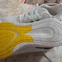 کفش آدیداس اصلی|کیف، کفش، کمربند|مشهد, حضرت حجت|دیوار