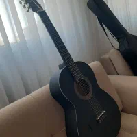 گیتار پارسی‌مدل m2