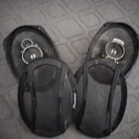 دو عدد باند|سیستم صوتی خانگی|آباده, |دیوار