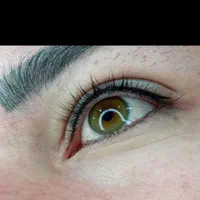 میکرو ابرو ،سایه ابرو و خط چشم،شیدینگ صورت|خدمات آرایشگری و زیبایی|سنندج, |دیوار