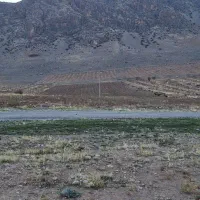 زمین صنعتی سند دار|فروش مغازه و غرفه|سیلاخور, |دیوار