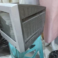 تلوزیون