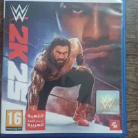بازی wwe2k25 کشتی کج ps5