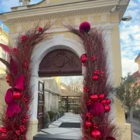 دیزاین شب یلدا وکریسمس وگل آرایی مراسم|خدمات پذیرایی، مراسم|ری, بازار گل خاوران|دیوار