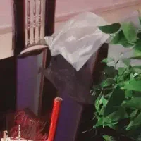 کارگر کلوچه پزی