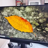 مانیتور ۲۲ فرم لس Lenovo full HD|قطعات و لوازم جانبی رایانه|نیشابور, فرح بخش|دیوار