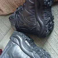 پوتین  ولادیمیر|کیف، کفش، کمربند|دماوند, گیلاوند|دیوار