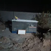 فروش قفس