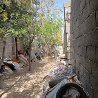 سوله اجاره ای|اجارهٔ دفتر صنعتی، کشاورزی، تجاری|بیرجند, |دیوار