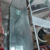 آکواریوم تقریبا بزرگ و سالم