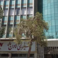 فاطمی شرقی ـنزدیک میدان ۱۴۰متر چهار اتاقه|اجارهٔ دفتر کار، اتاق اداری، مطب|تهران, بلوار کشاورز|دیوار