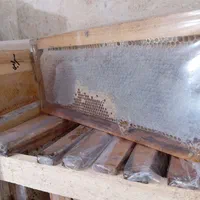 فروش عمده عسل موم و شهد سراب|خوردنی و آشامیدنی|هشتگرد, شهرک دانش|دیوار