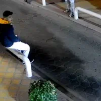 دوستان گل|فعالیت داوطلبانه تحقیقاتی|اصفهان, شمس آباد|دیوار