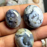 باباقوری های هزار چشم کلکسیونی