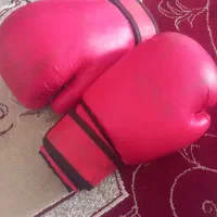 ی جفت دستکش بوکس در حد نو
