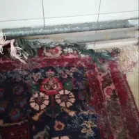 فرش 6متری کارکرده دستبافت|فرش|اردبیل, |دیوار