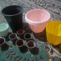 گلدان پلاستیکی . همشون 100ت|گل و گیاه طبیعی|تربت‌حیدریه, مظفریه|دیوار