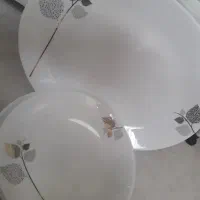 ظروف غذاخوری