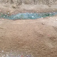 کود گوسفندی تازه|لوازم جانبی حیوانات|شراء, |دیوار